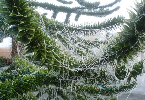 Ukraine - Spiders web Christmas tree